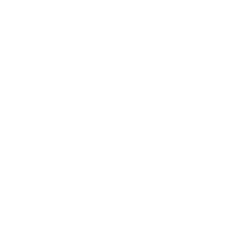 wgvision.net